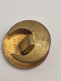 Original dansk DNSAP revérnål