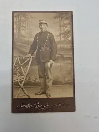 Samling Danske soldater foto