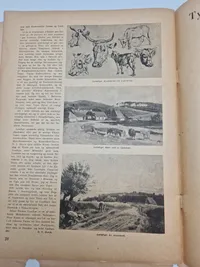 Originalt eksemplar af “på godt dansk” (Nazistisk propaganda)