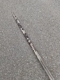 Original Dansk Hestegardepallask M/1828 med sjælden skede