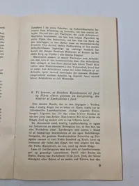Sjældent originalt DNSAP program - tidligt  1930
