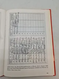 Bog om det tyske bandenkampfabzeichen