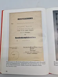Bog om det tyske bandenkampfabzeichen