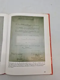 Bog om det tyske bandenkampfabzeichen