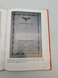 Bog om det tyske bandenkampfabzeichen