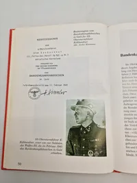 Bog om det tyske bandenkampfabzeichen