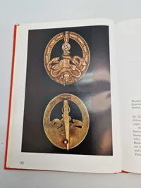 Bog om det tyske bandenkampfabzeichen