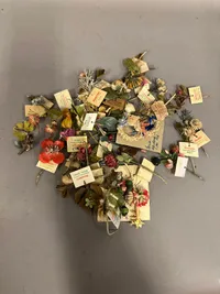 Original Winterhilfswerk des Deutschen Volkes blomser solgt af Hitlerjugend i det 3 rige