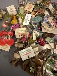 Original Winterhilfswerk des Deutschen Volkes blomser solgt af Hitlerjugend i det 3 rige
