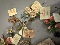 Original Winterhilfswerk des Deutschen Volkes blomser solgt af Hitlerjugend i det 3 rige
