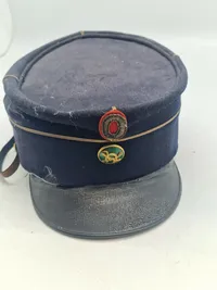 Original Officers kepi for Dyrlæge til renovering