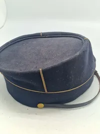 Original Officers kepi for Dyrlæge til renovering