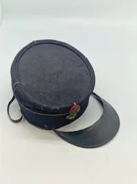 Original Officers kepi for Dyrlæge til renovering
