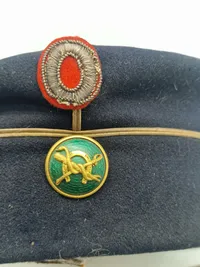 Original Officers kepi for Dyrlæge til renovering