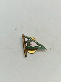 Samling diverse pins mm.