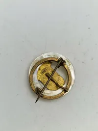 Samling diverse pins mm.