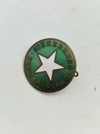 Samling diverse pins mm.