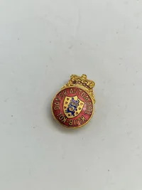 Samling diverse pins mm.