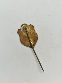 Samling diverse pins mm.