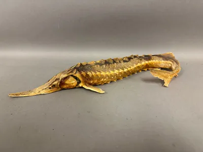 Original Stør fisk