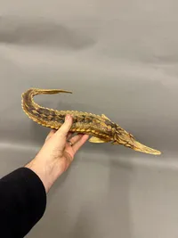 Original Stør fisk