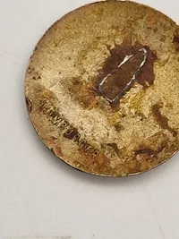Originalt DNSAP partimærke