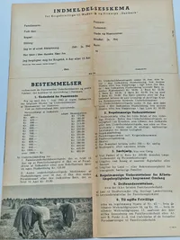 Sjælden original dansk hverve folder til Waffen-SS