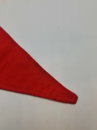 Original?  tysk cykel vimpel - ww2