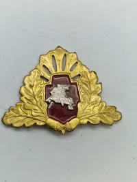 Samling diverse badges og pins Litauen og Letland