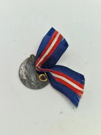 Originalt skjold fra modstandsbevægelsen samt pin