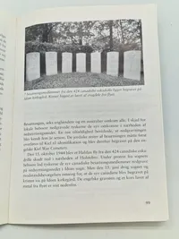 Skudt ned over Danmark 1940-45