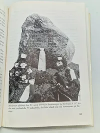 Skudt ned over Danmark 1940-45