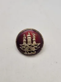 Diverse pins og knapper