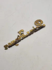 Diverse pins og knapper