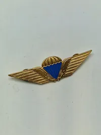 Lot Faldskærmsvinger