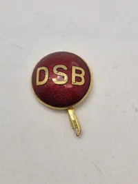 Diverse pins og knapper
