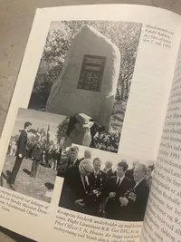 Skudt ned over Danmark - 1940-1945