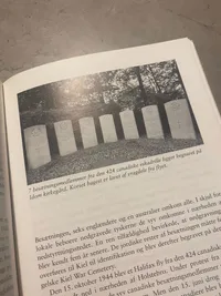 Skudt ned over Danmark - 1940-1945