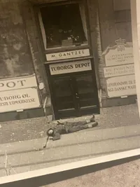 Lot ww2 fotos fra bykampe i København Amaliegade 26  - genoptryk???