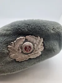 DDR officers pelshue
