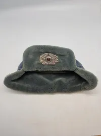 DDR officers pelshue