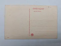 Lot Akademisk Skyttekorps