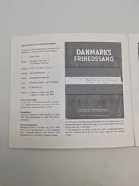 Likvidering eller selvmord?