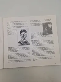 Likvidering eller selvmord?