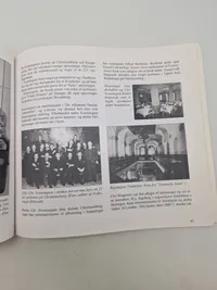 Likvidering eller selvmord?