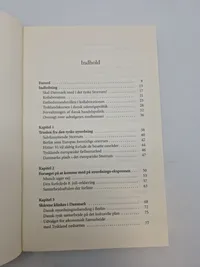 Danmark i det tyske storrum