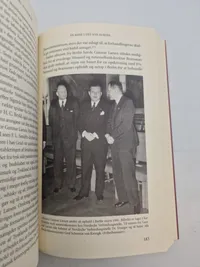Danmark i det tyske storrum