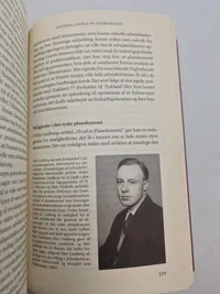 Danmark i det tyske storrum