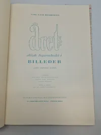 Årets største begivenheder i billeder - det bedste fra den danske kamp