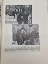 Årets største begivenheder i billeder - det bedste fra den danske kamp